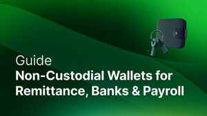 Non-Custodial Wallet Guide for Remittance, Banks & Payroll Companies post feature image