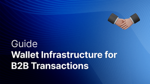 The Best Wallet Infrastructure for B2B Payments is Programmable post feature image