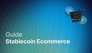 Using Stablecoins for Ecommerce: The D2C Payments Infrastructure that Merchants Need post feature image